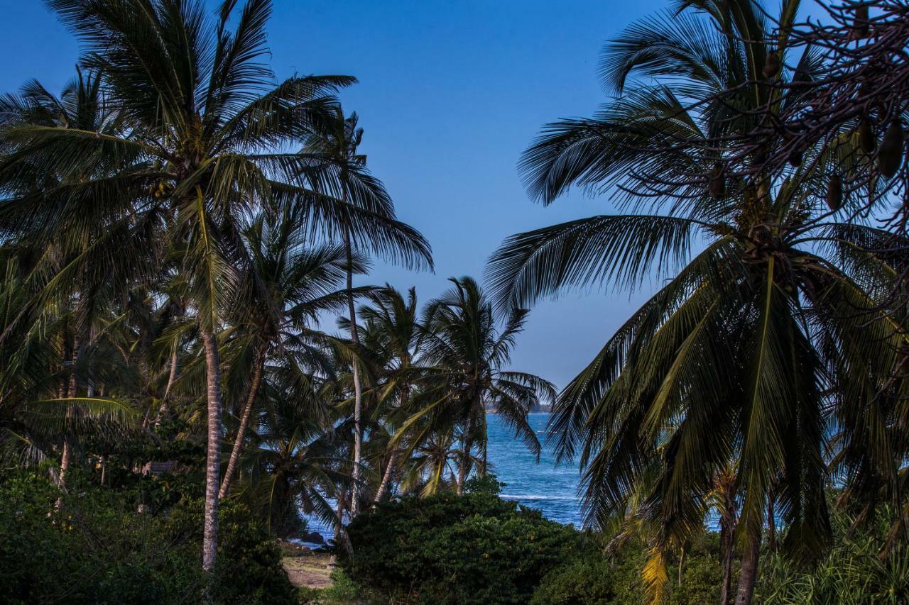 Willa Msambweni Beach House Zewnętrze zdjęcie